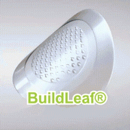 BuildLeaf® has a surprise upgrade just for you! You've already got an amazing offer - but now you've unlocked an even better one: 👉 You'll get a massive 30% off your next purchase - for the next two minutes only!
